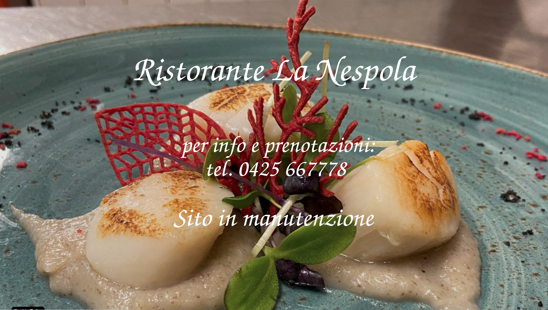 Ristorante La Nespola